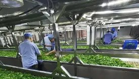 江南体育官网- 巴斯德象限模型 